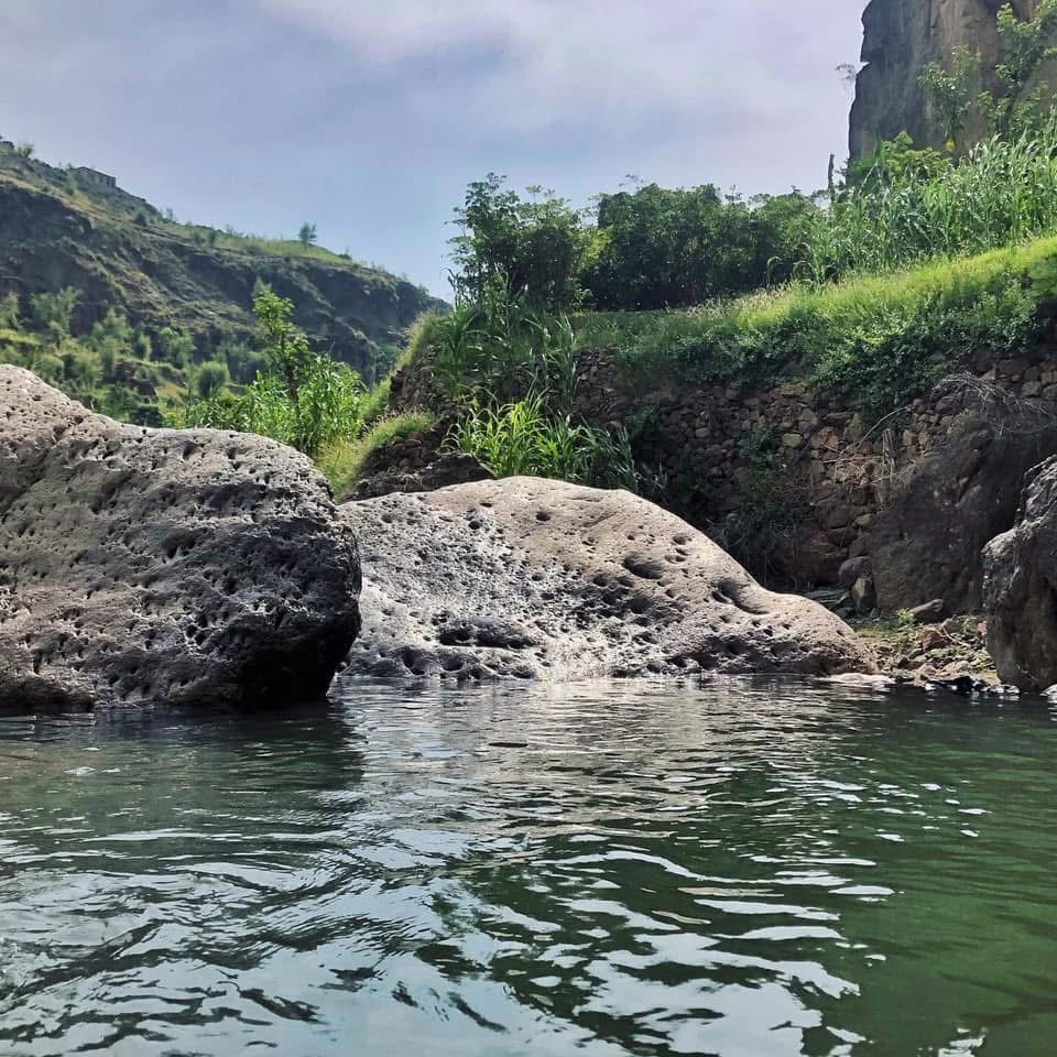 Café éthiopien aux arômes floraux